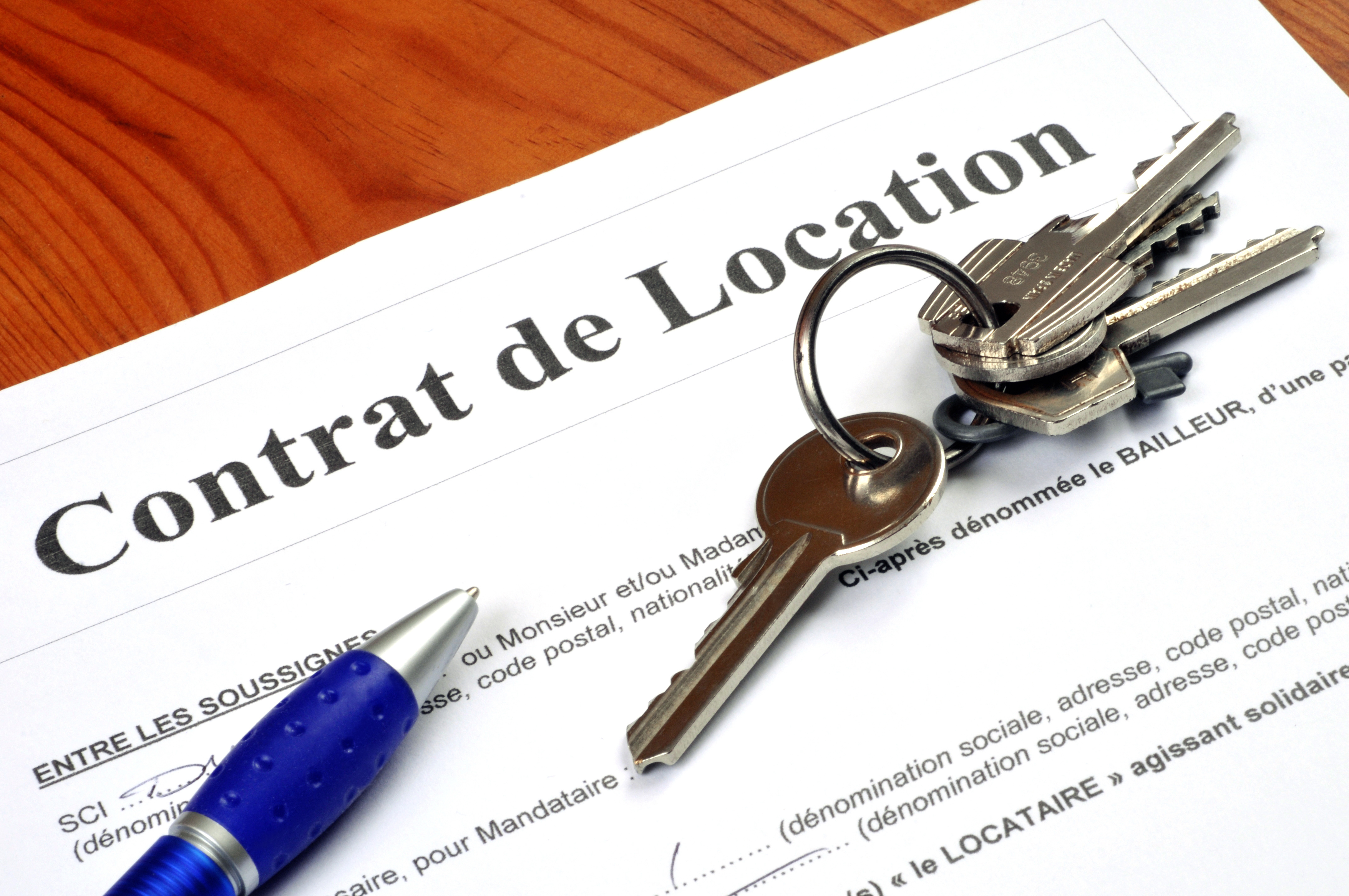 Quelles sont les obligations d’entretien d’un locataire (secteur privé et social) ?